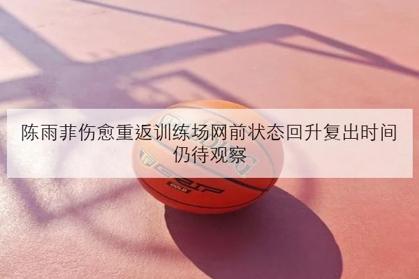 陈雨菲伤愈重返训练场网前状态回升复出时间仍待观察